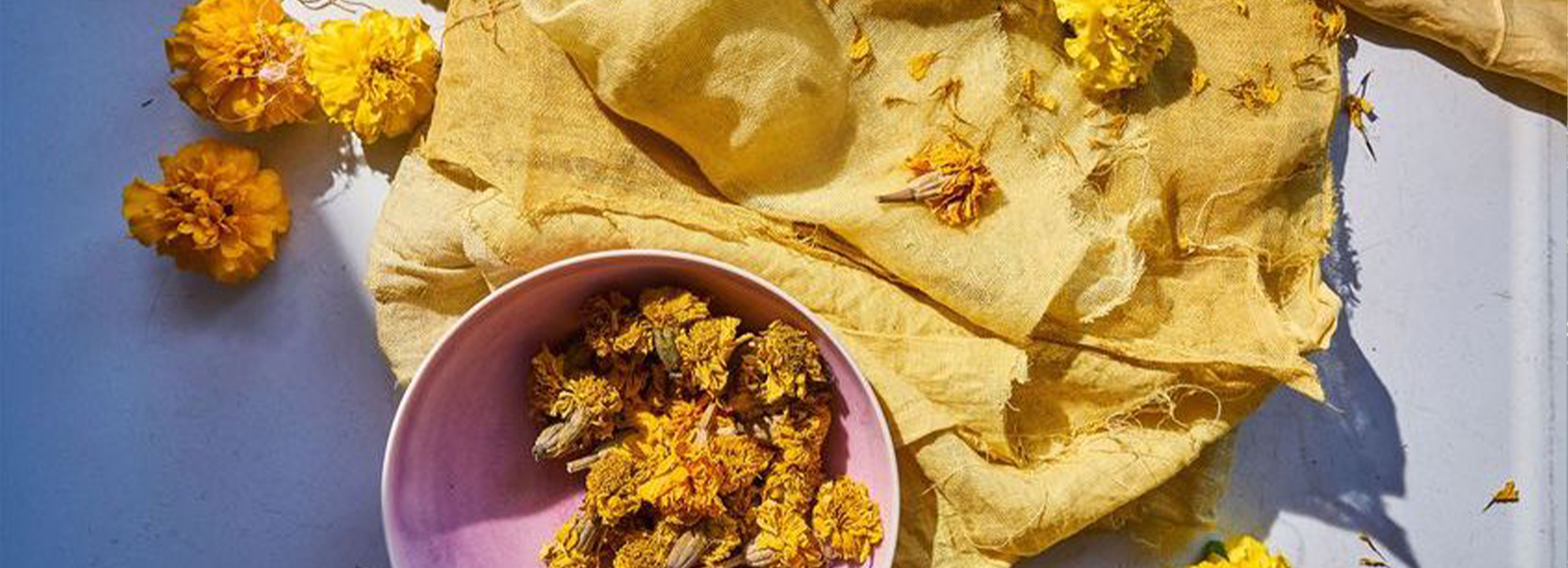 Garden from Seeds: 1800's Vegetables